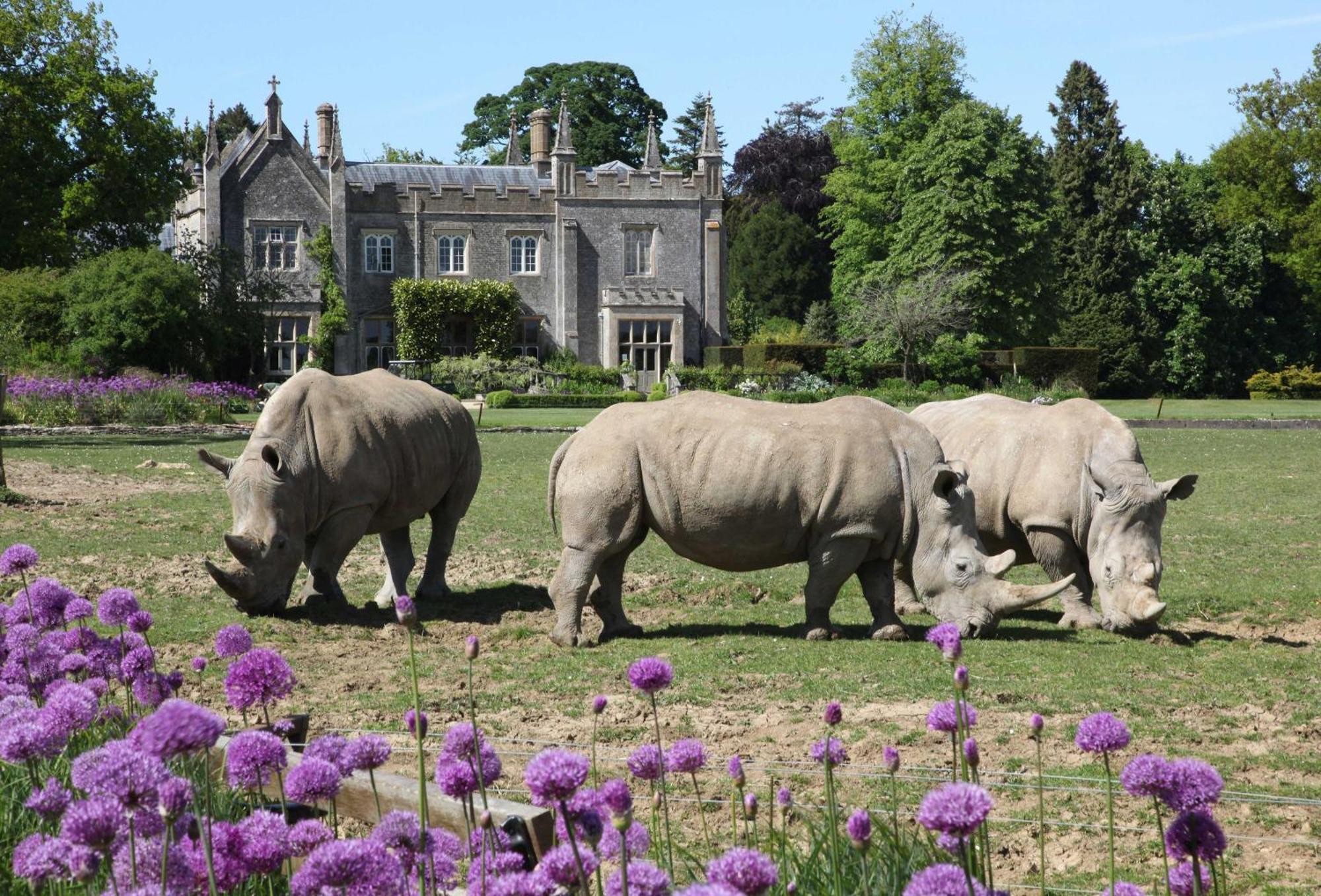 Honey Cottage Stow-on-the-Wold Dış mekan fotoğraf